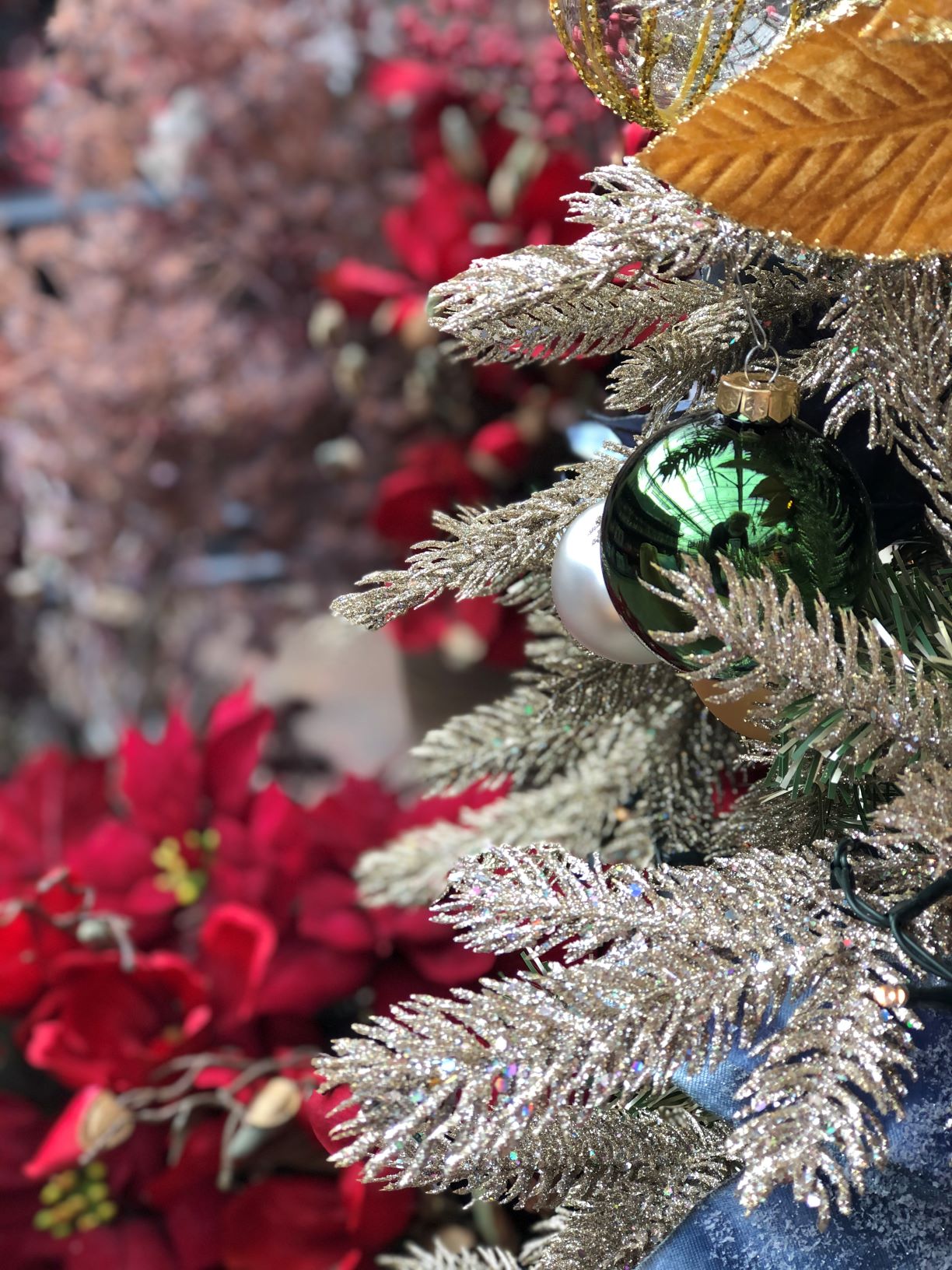 Kerstboom